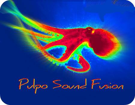 PULPO SOUND FUSION